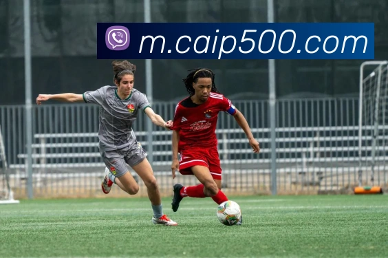 App Interface Preview