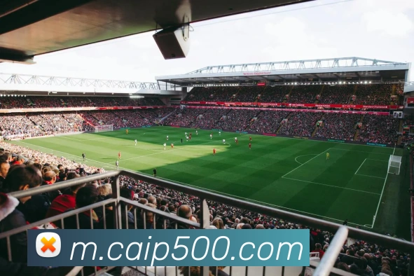 500彩票APP 封面图